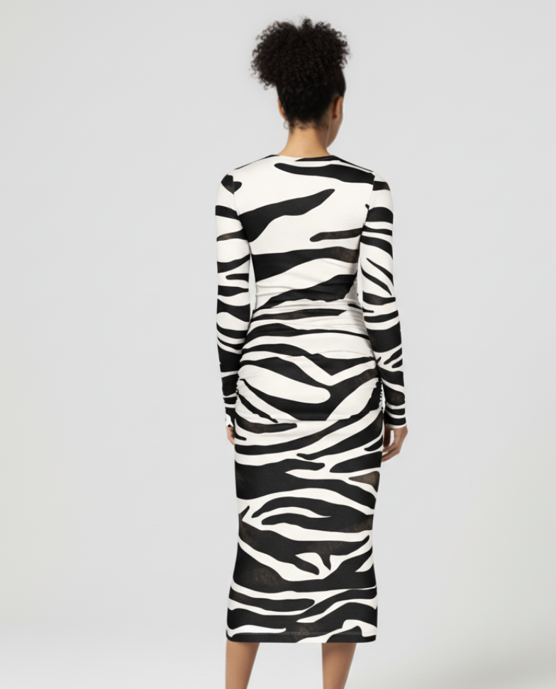 Whiney Long Sleeve Dress